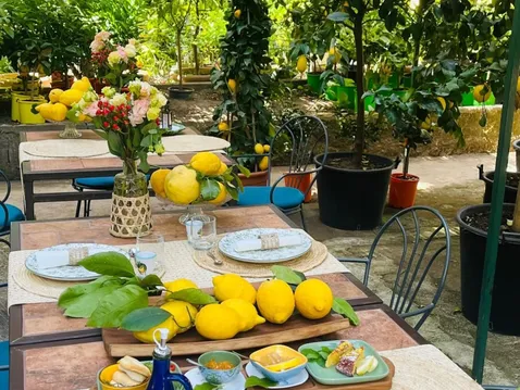 Pompeii & Lemon Tour-4